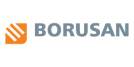 Logo Borussam